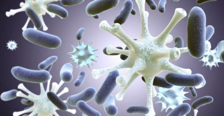Hipolabor ensina: diferenças entre as doenças causadas por vírus e bactérias
