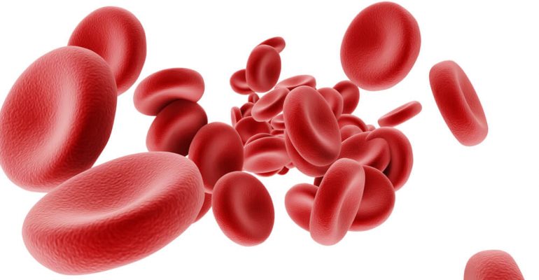 Hipolabor ensina: como funcionam os medicamentos anticoagulantes